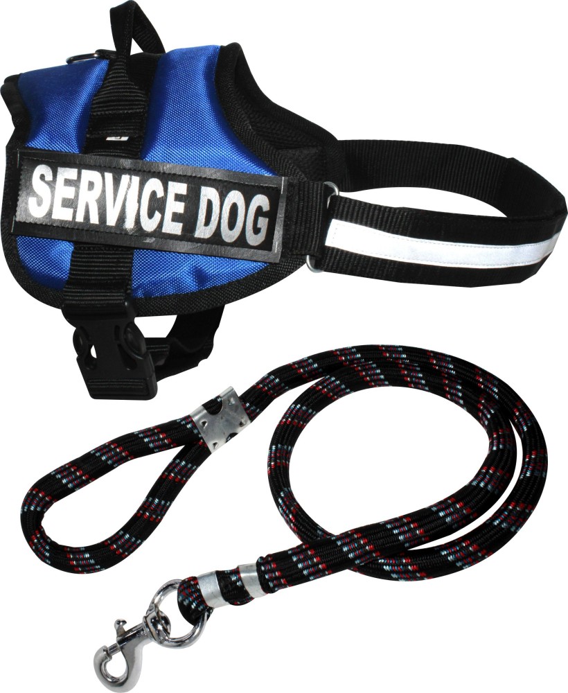 Dog belt hot sale under 100