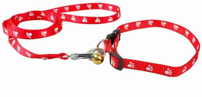 Sunlite dog leash store