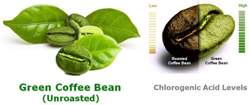 NutriLeon Green Coffee Bean extract 800 mg 60 capsules (Pack of 3) Price in India - Buy NutriLeon Green Coffee Bean extract 800 mg 60 capsules (Pack of 3) online at Flipkart.com