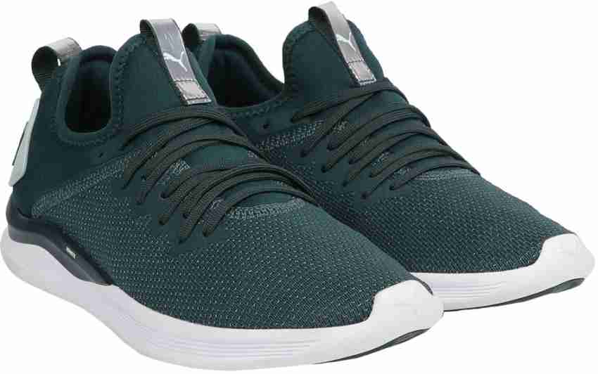 Puma ignite flash 2024 evoknit sep wn