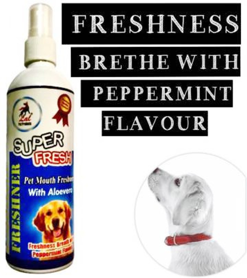 Fresh mouth new arrivals for dogs