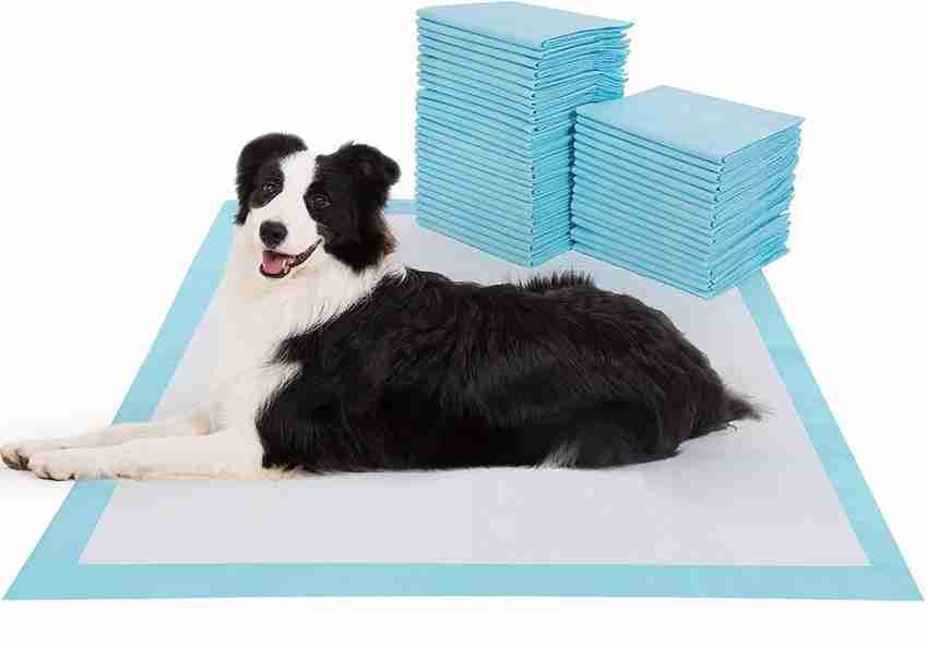 Extra large pet training pads shop