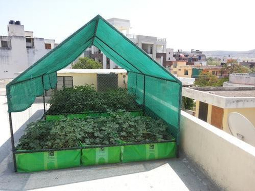 Shade sales net house