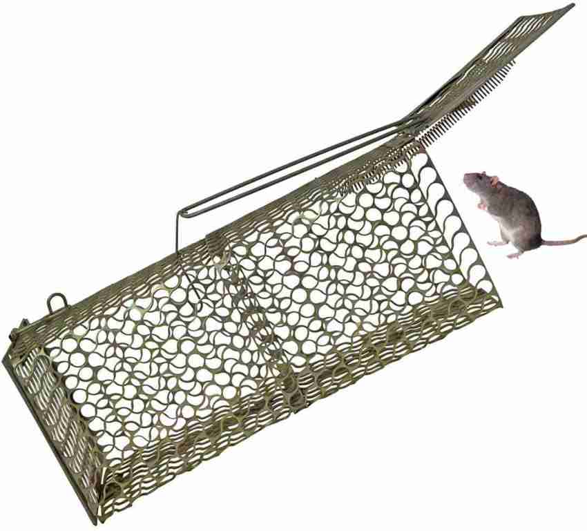 6/12x Rat Mice Mouse Traps Snap Trap Heavy Duty Catcher Rodent Control  Reusable