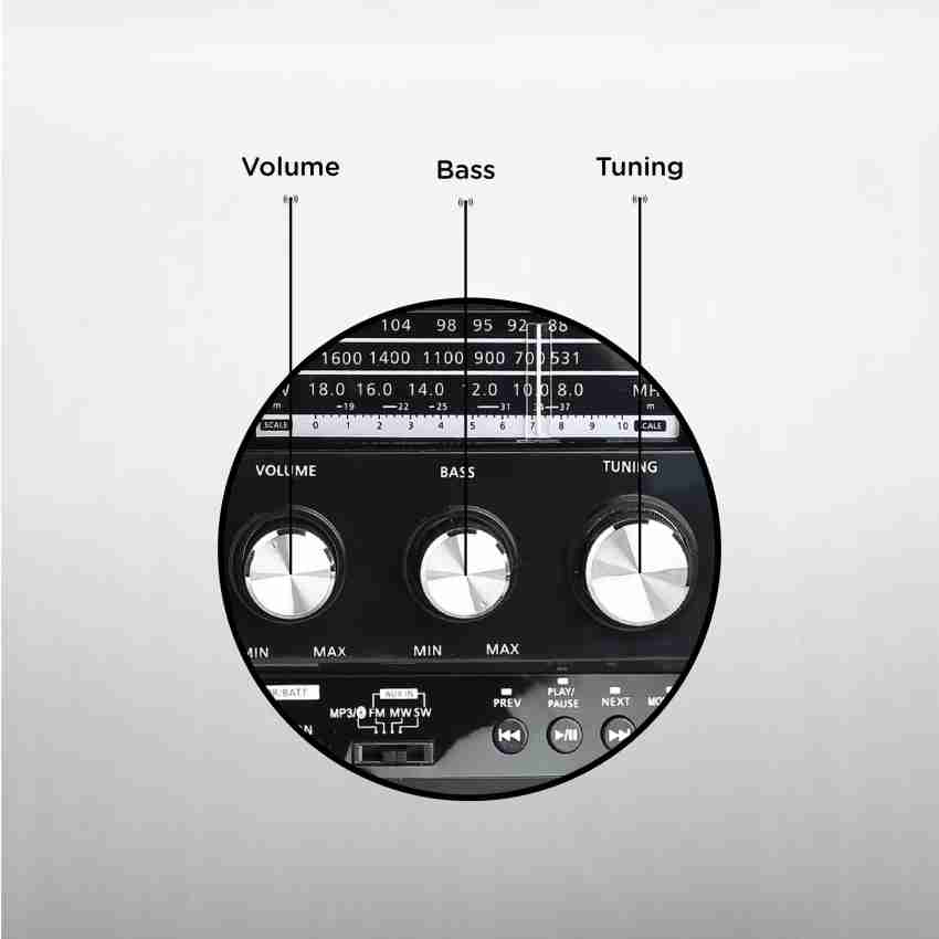 AUDIOEX Retro Style FM Radio - AUDIOEX 