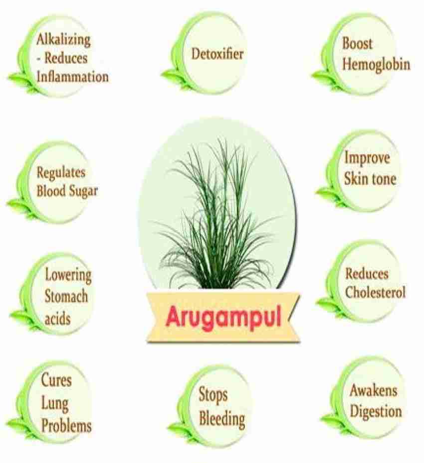 Arugampul benefits shop in tamil