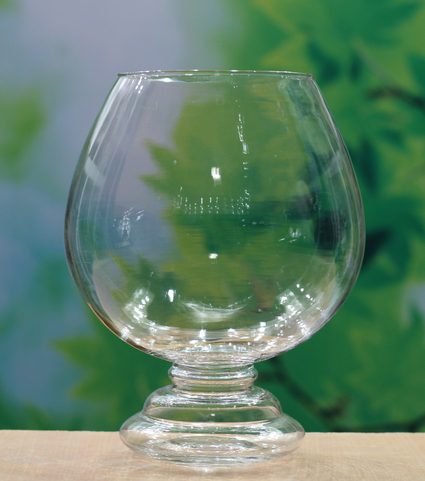 Wine glass aquarium sale