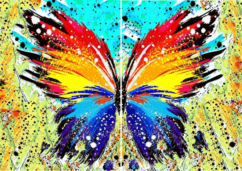 Abstract Butterfly