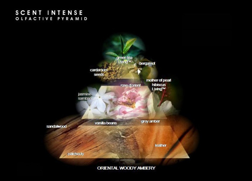 Scent intense parfum deals