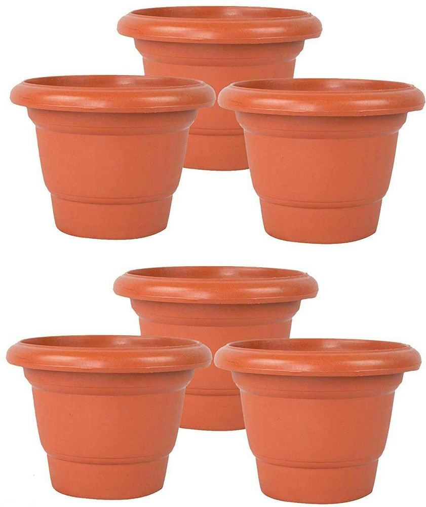 Pot sv online