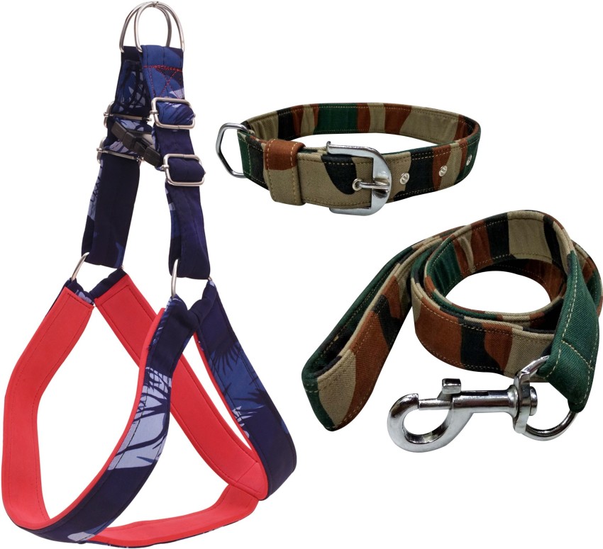 Collars & harnesses best sale