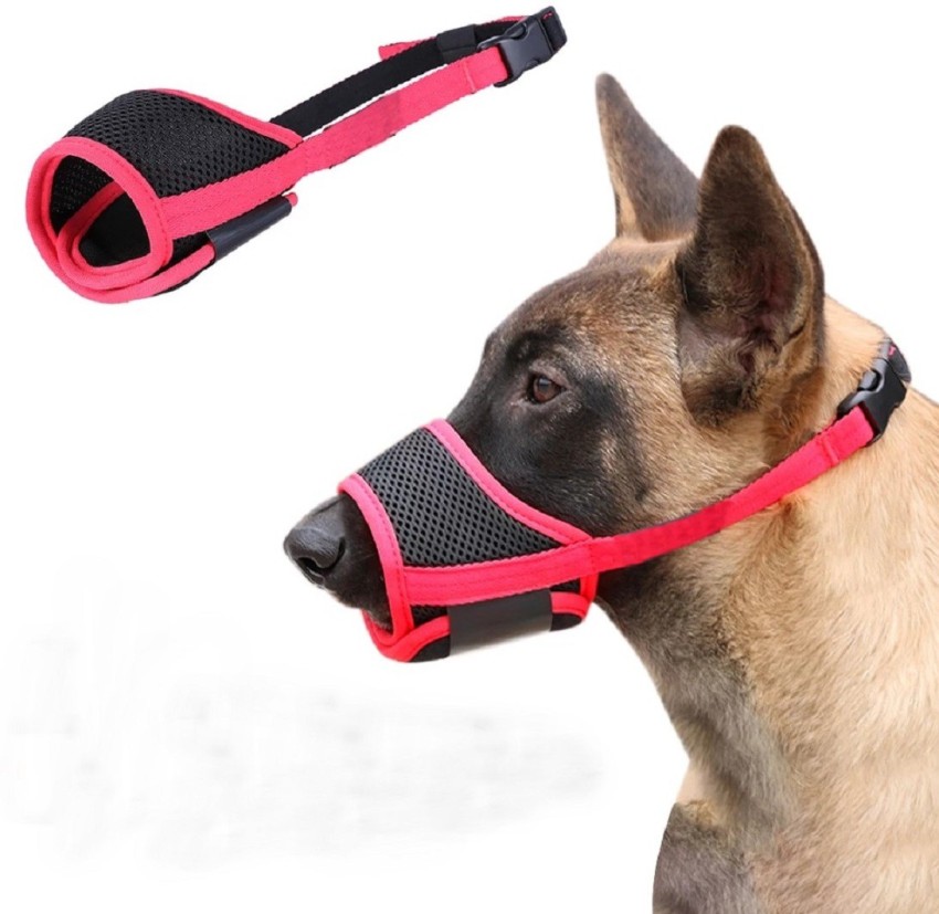 Dog sales mouth leash