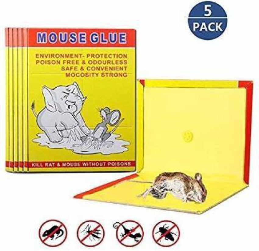 https://rukminim2.flixcart.com/image/850/1000/kg5fzww0/rat-trap/a/r/p/super-hold-glue-traps-rat-trap-size-contains-2-rat-size-traps-original-imafwgg6jbduyugy.jpeg?q=90