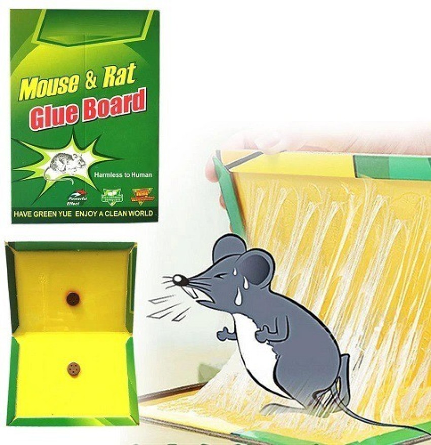 Indian brown house mouse caught on inhumane sticky glue trap, India, 2022 :  Anipixels