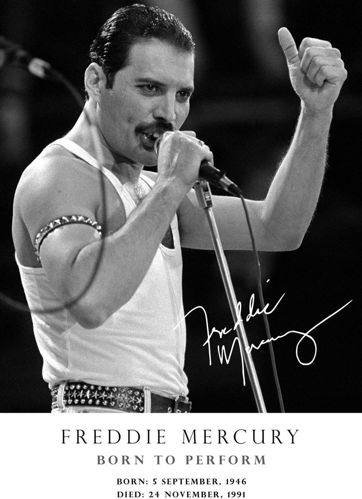 Modern Frame 14x12 (36x31cm) of Queen Rock Group - Freddie Mercury in concert at St James Park in Newcastle. 1986
