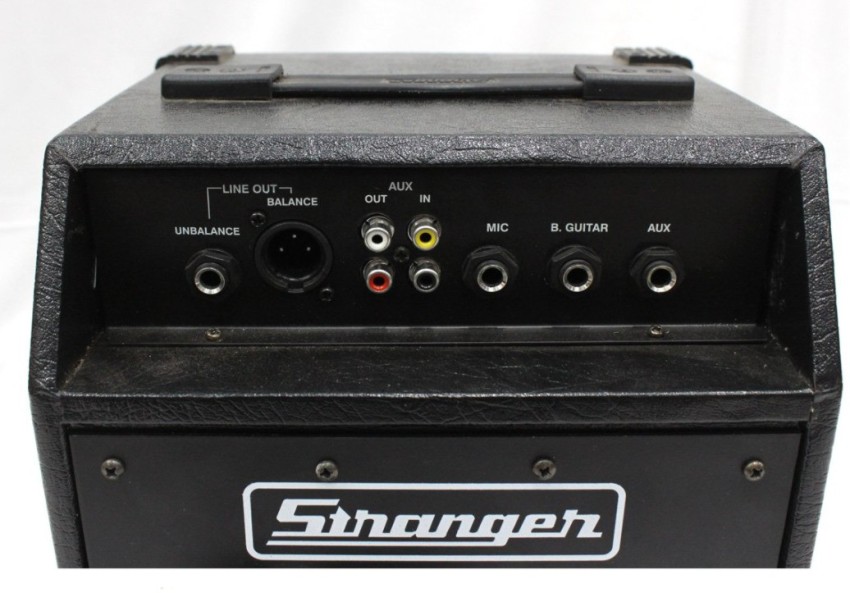 Stranger speaker best sale with amplifier price