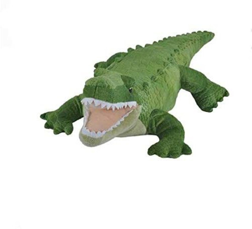 Alligator teddy on sale