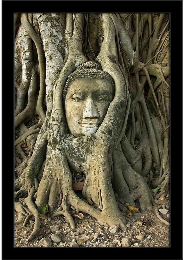 Buddha Head In Tree Poster By Adrian Evans Fine Art America