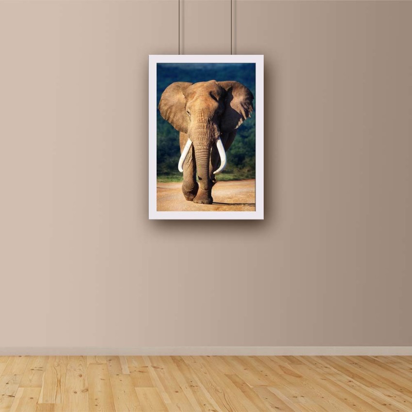 Big Elephant poster Paper Print - Animals posters in India - Buy