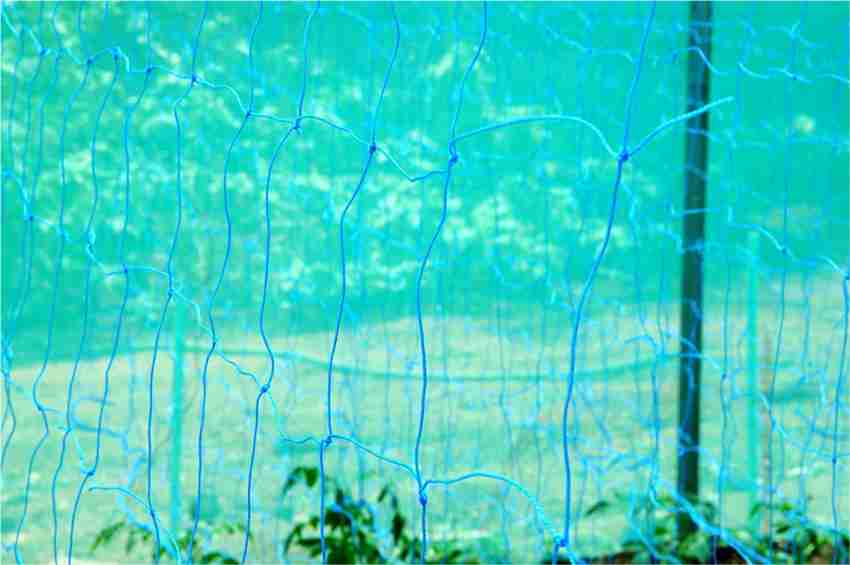 Creeper Net, Climbers Support Net UV Treated with Border - 3M Width Blue, Seed2Plant