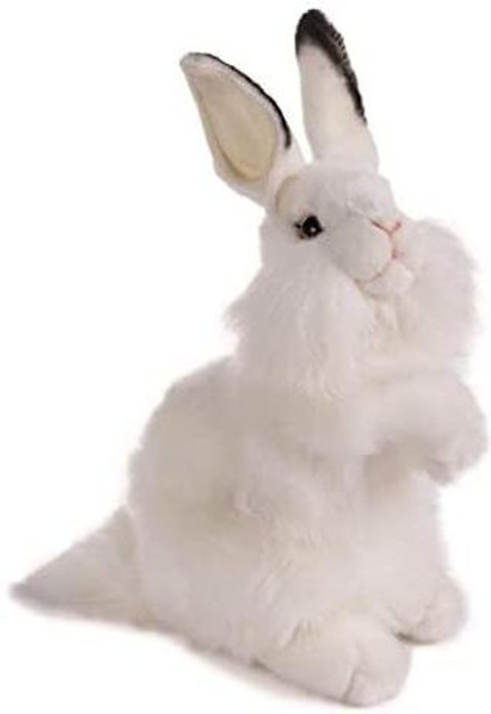 Hansa rabbit shop