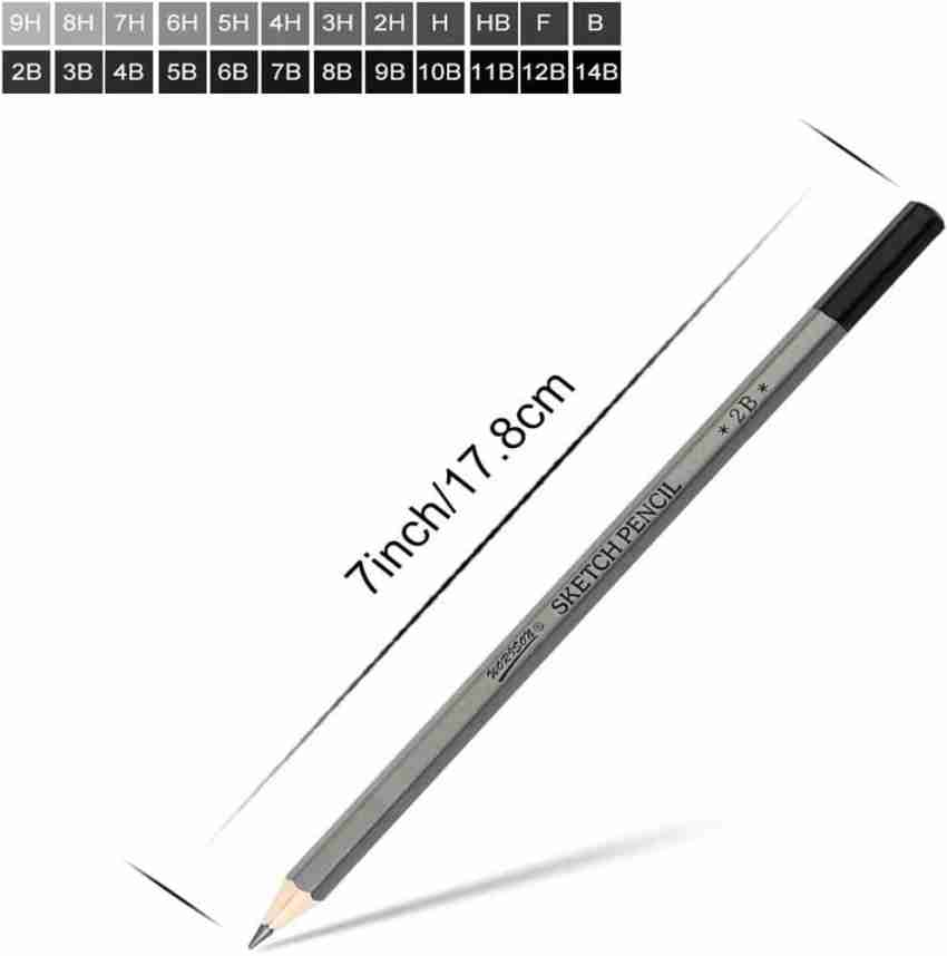 Professional Drawing Sketching Pencil Set - 12 Pieces Drawing Pencils 10B,  8B, 6B, 5B, 4B, 3B, 2B, B, HB, 2H, 4H, 6H Graphite Pencils for Beginners &  Pro Artists 