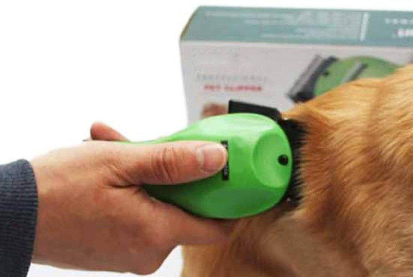 Zoofari deals dog clippers
