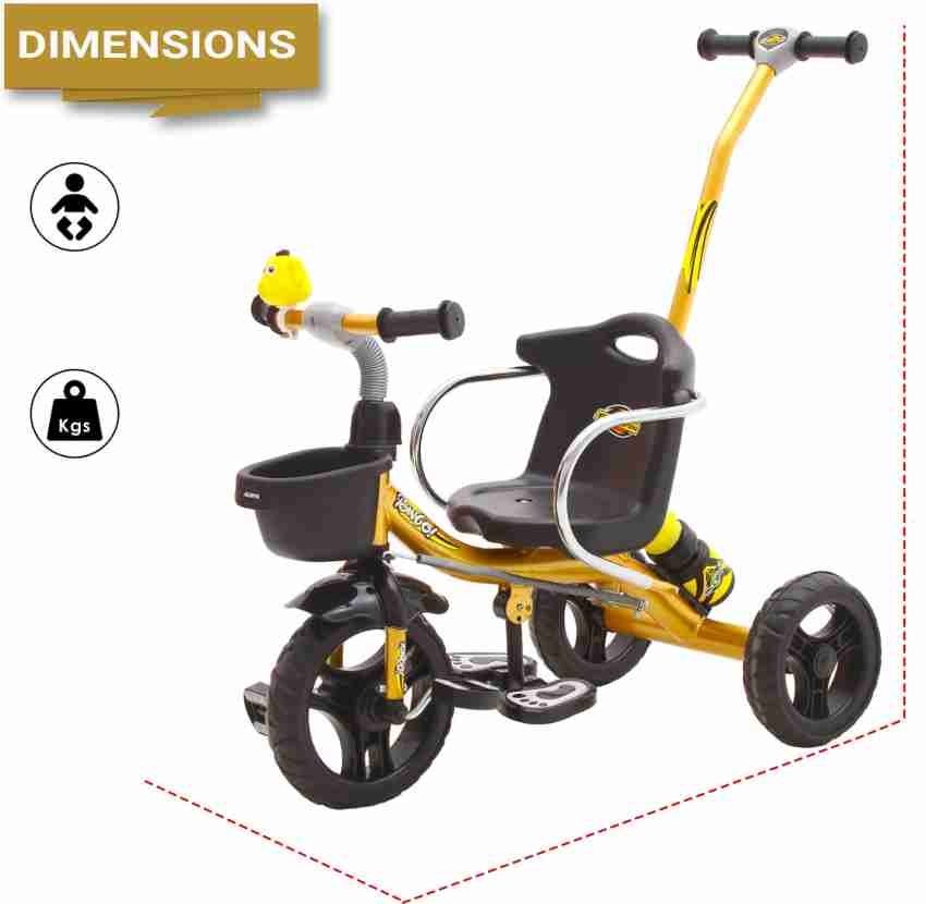 GoodLuck Baybee Bingo Plus Tricycle Price in India Buy GoodLuck Baybee Bingo Plus Tricycle online at Flipkart