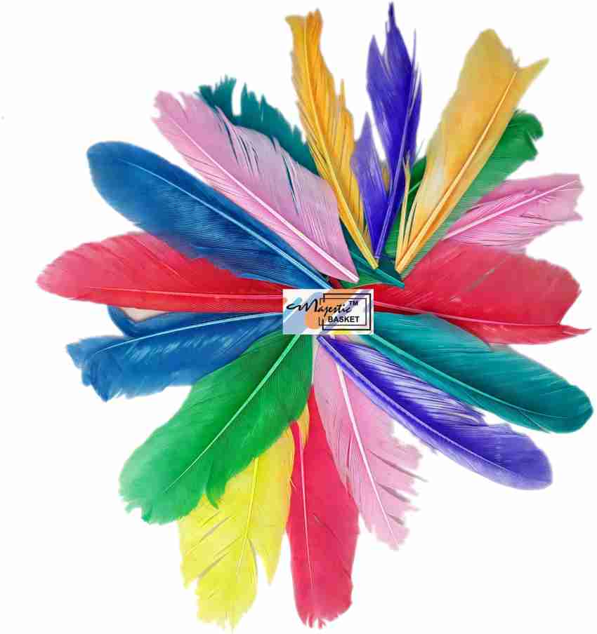Uniqon Natural Dyed (Multicolor) Multi-Purpose Craft Feathers  (Approximately 80 Pcs) For Dream Catcher Artificial Jewelry Making Art &  Craftworks Decorations Diy Hobby Crafts Kids Projectworks Scrapbooking -  Natural Dyed (Multicolor) Multi-Purpose Craft