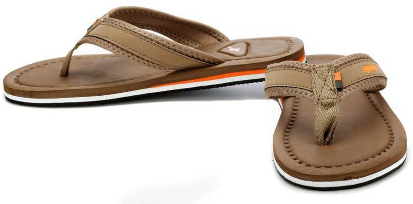 Sparx sfg cheap 243