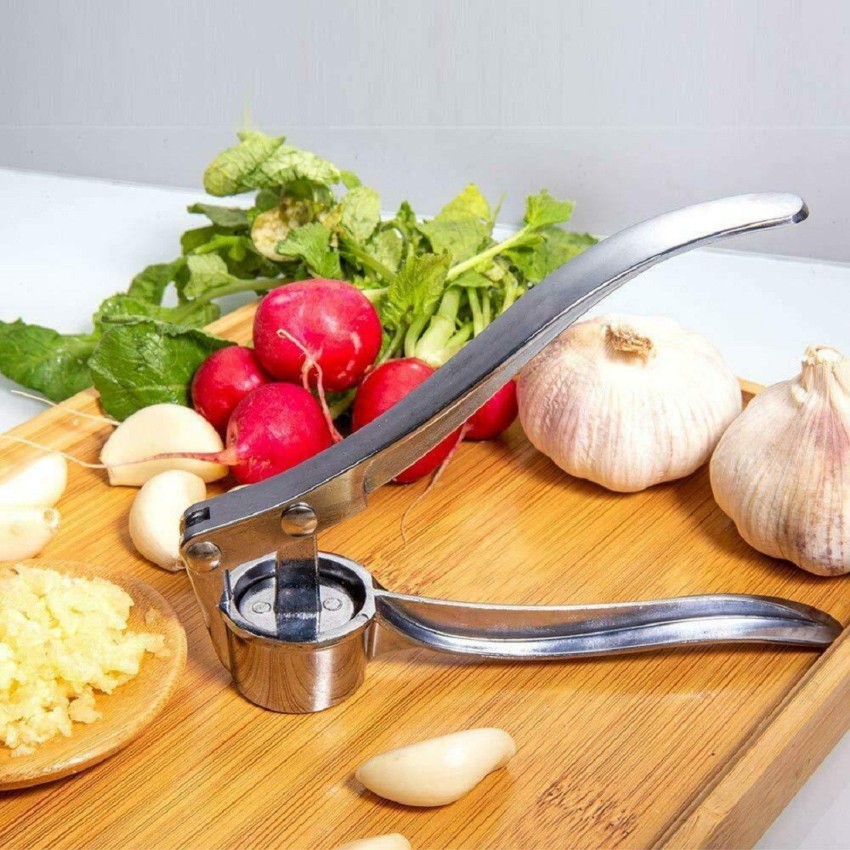 Garlic Crusher, Garlic Mincer to Press Clove and Smash Ginger Handheld Zinc  Alloy Rust-proof Tool for Kitchen