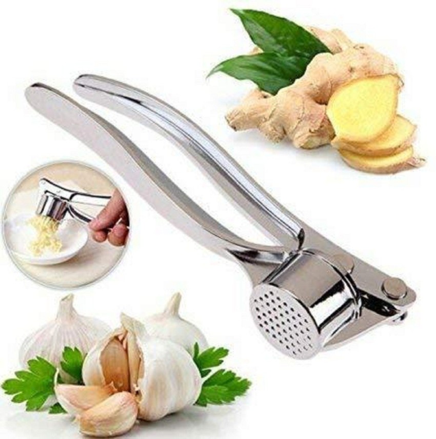 Garlic Crusher, Garlic Mincer to Press Clove and Smash Ginger Handheld Zinc  Alloy Rust-proof Tool for Kitchen