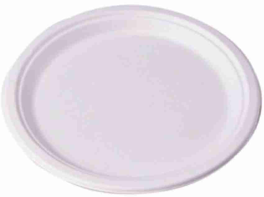 Buy Disposable Vintage Modern White Party Plates. Disposable Wedding Plates.  Disposable Party Plates. Setting for 10. 10x 10.25 & 10x 7.5 Online in  India 