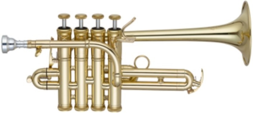 Piccolo Trumpet Black Color Bb & Picollo Brass