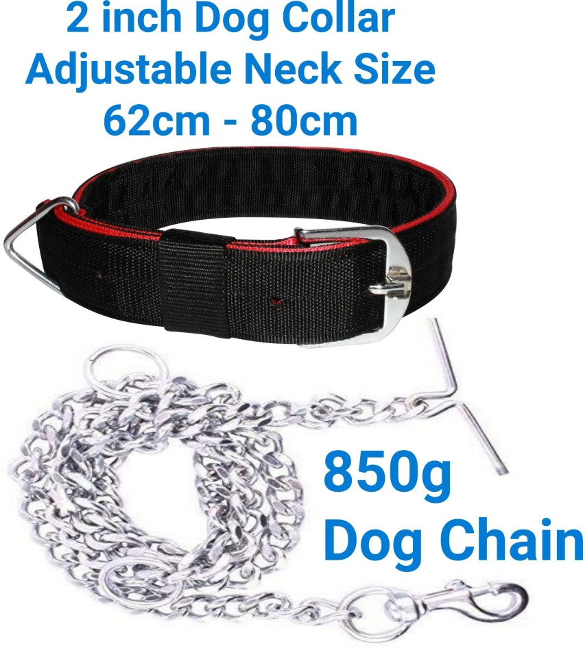 Dog belt outlet chain