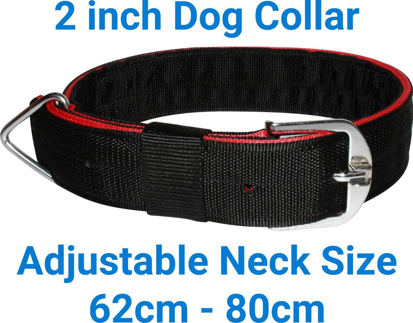 2 inch collar sale