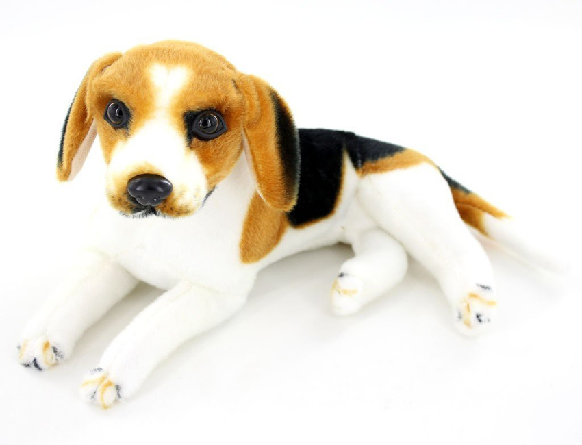 Beagle large hotsell