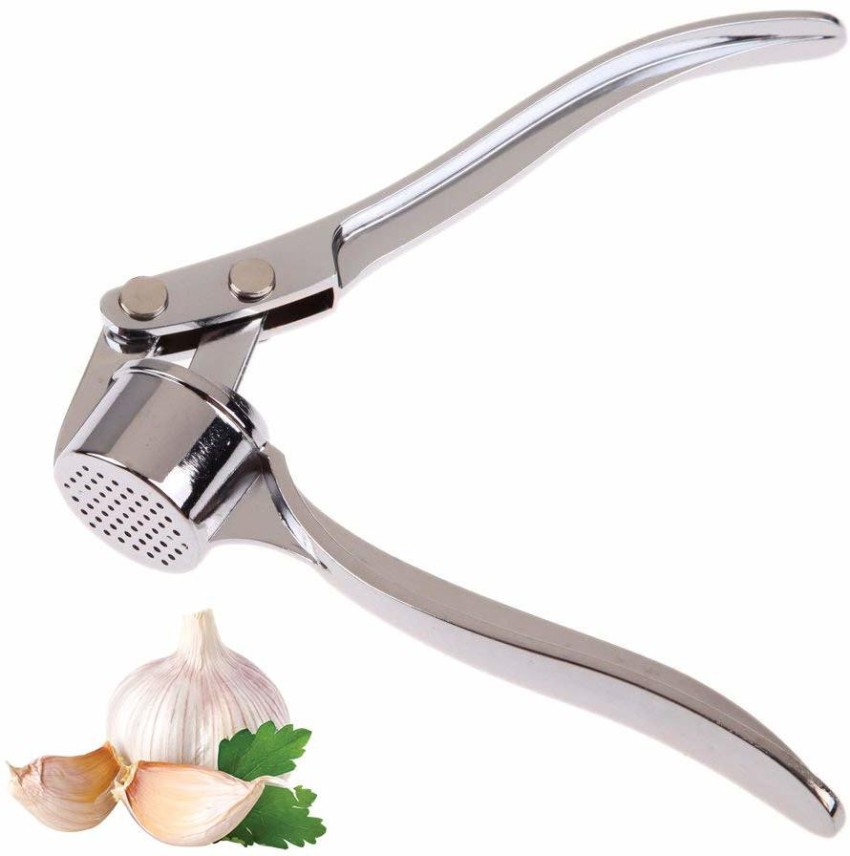 Garlic Crusher, Garlic Mincer to Press Clove and Smash Ginger Handheld Zinc  Alloy Rust-proof Tool for Kitchen