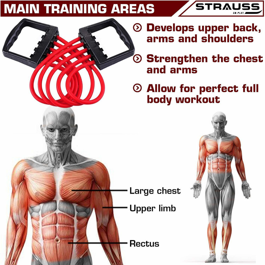 Chest expander flipkart clearance