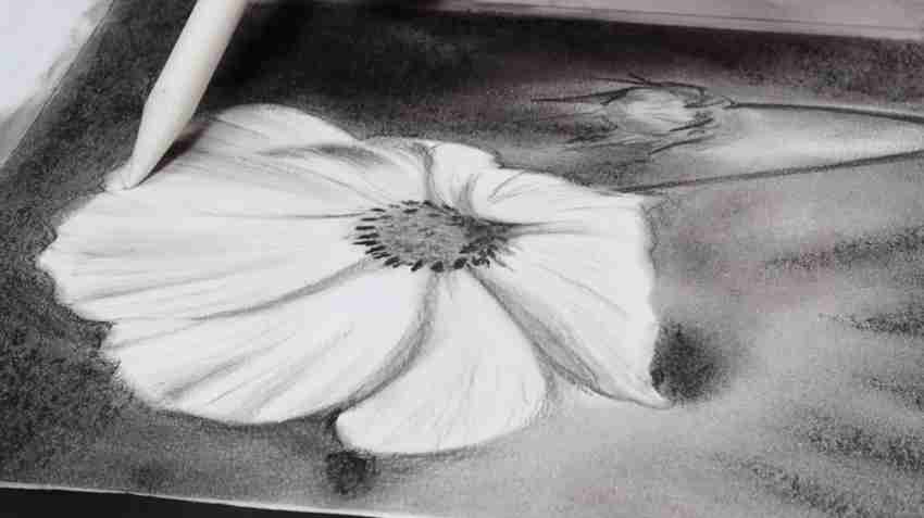 Graphite pencils and charcoal Powder - Art by Vanee sree