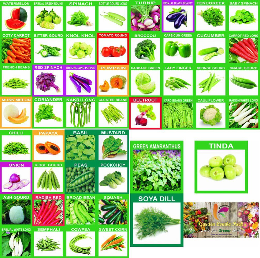 YOUNG STAR IMPORTED PREMIUM 50 VEGETABLES SEEDS 2010 100 GERMINATION HYBRID QUALITY FASTEST GROTH Seed