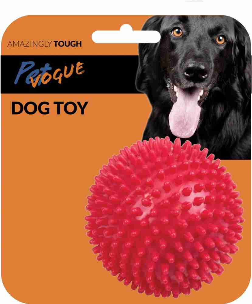PetVogue Spiky Squeaker Ball Dog Toy Plastic Ball For Dog Cat Price in India Buy PetVogue Spiky Squeaker Ball Dog Toy Plastic Ball For Dog Cat online at Flipkart