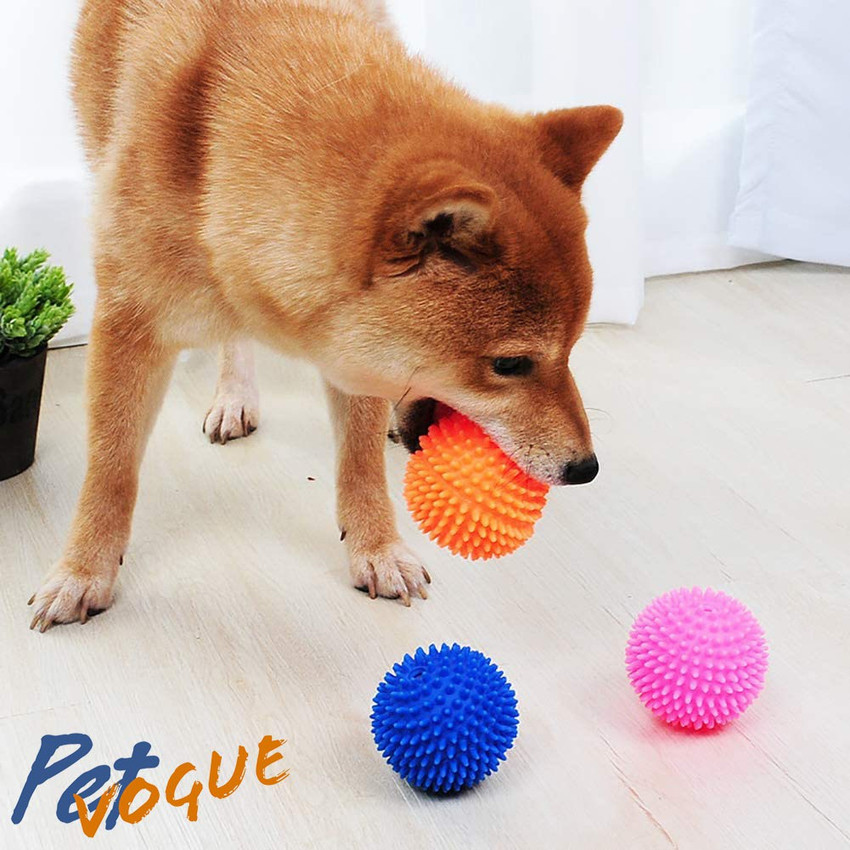 Plastic dog ball hot sale