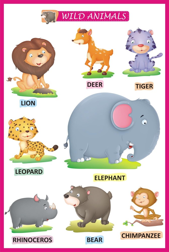 Wild Animals Name with Pictures - Wild Animals List  Wild animals list,  Animals name with picture, Wild animals pictures