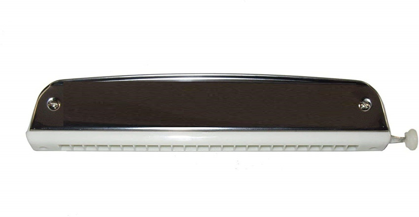 Mouth organ with online scale changer