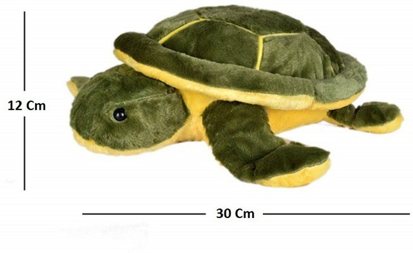 Tortoise hotsell cuddly toy