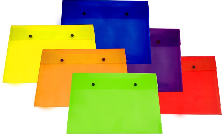 Aerotix Multi Color Transparent My Clear Bag File