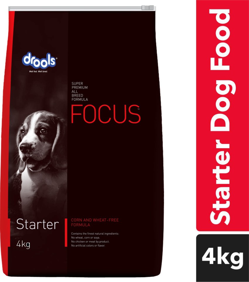 Focus dog sale food price