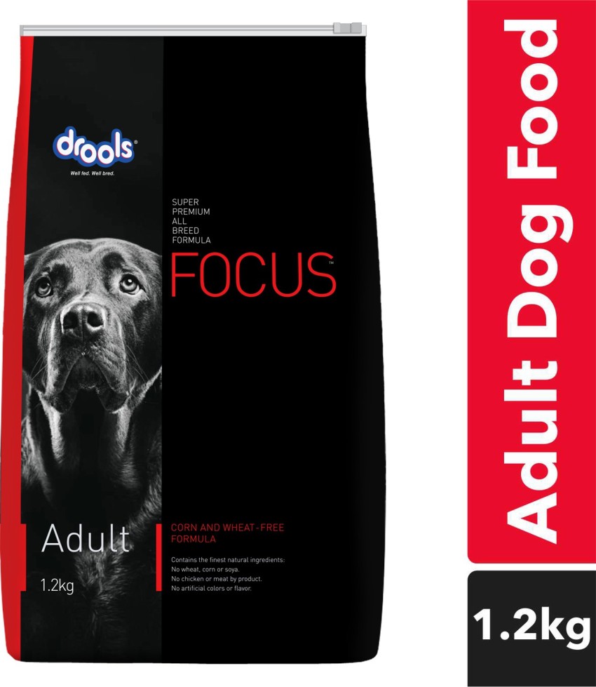 Focus shops dog food price