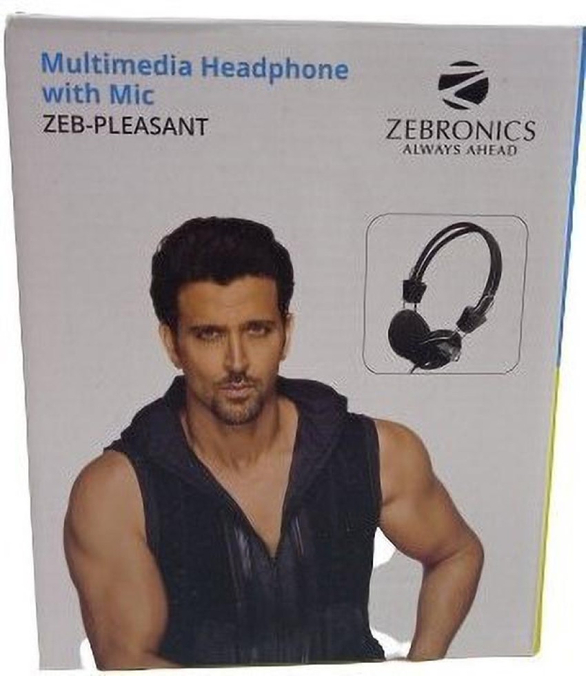 ZEBRONICS ZEB PLEASANT 2 Pin Wired Headset Price in India Buy